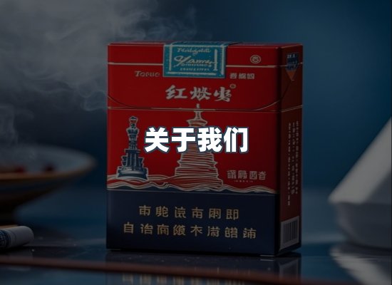 关于我们